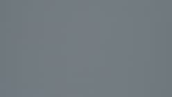 Dolphin Gray