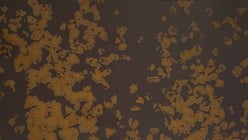 Iron Rust®