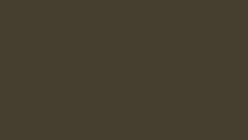 Matte Burnished Slate*