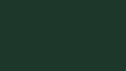Matte Classic Green*