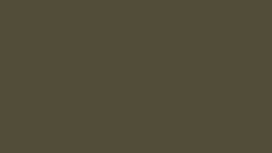 Matte Medium Bronze*