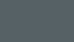 Matte Musket Gray
